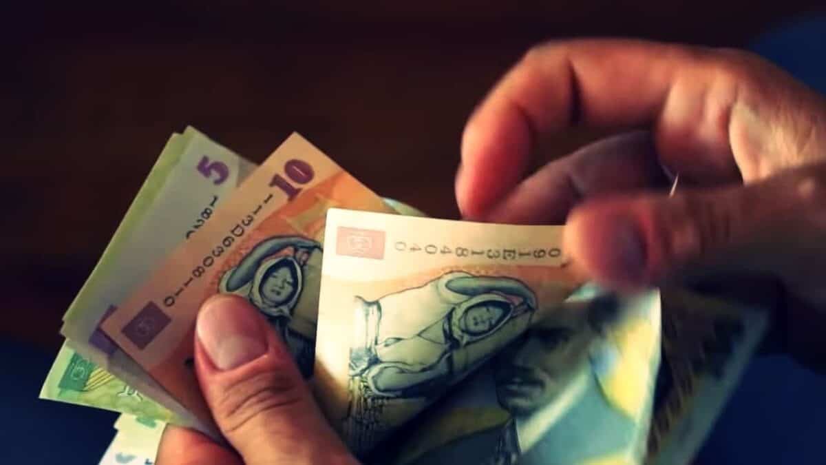 Informare | Grup de lucru pentru implementarea deciziei 51/2019