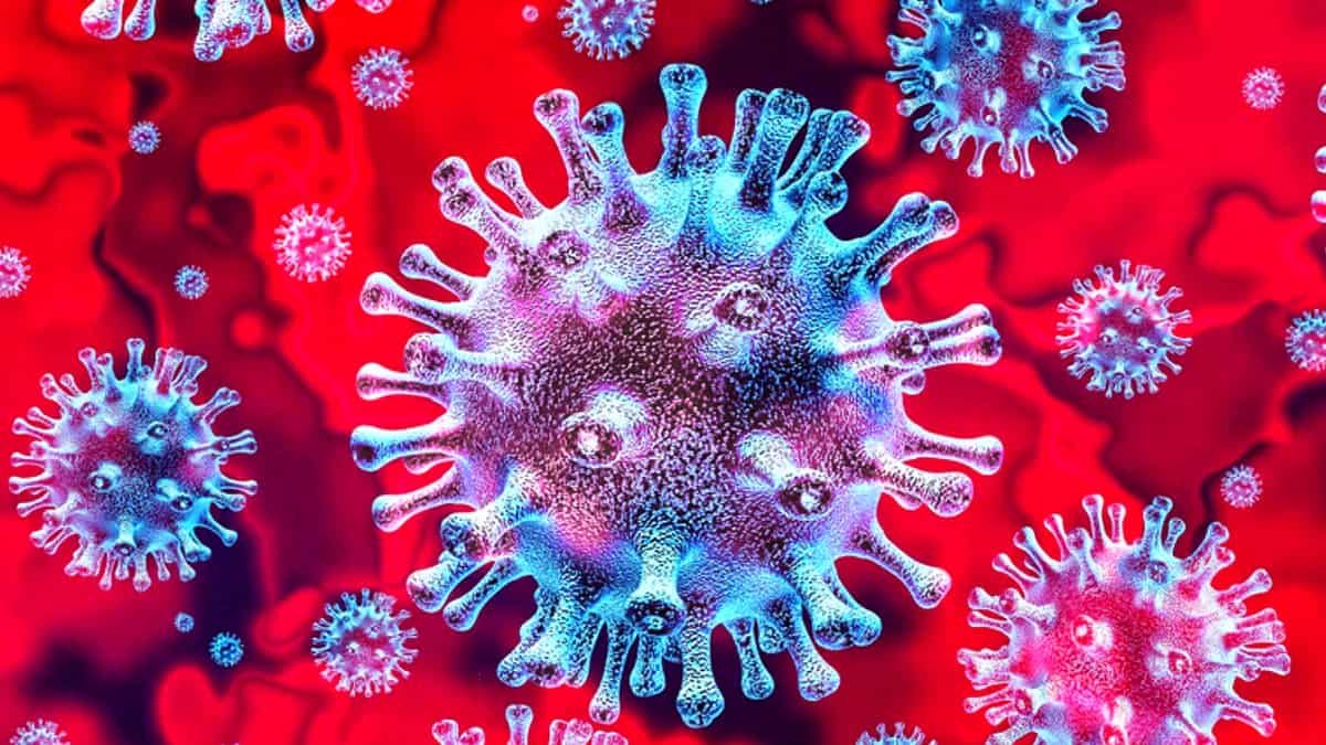 ANP, sprijin pentru combaterea valului 3 al epidemiei de coronavirus