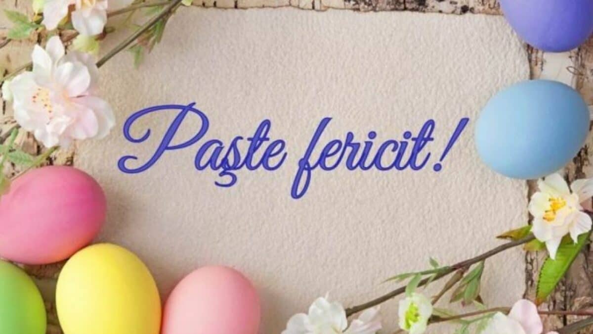 Echipa FSANP vă urează “Sărbători Fericite!”