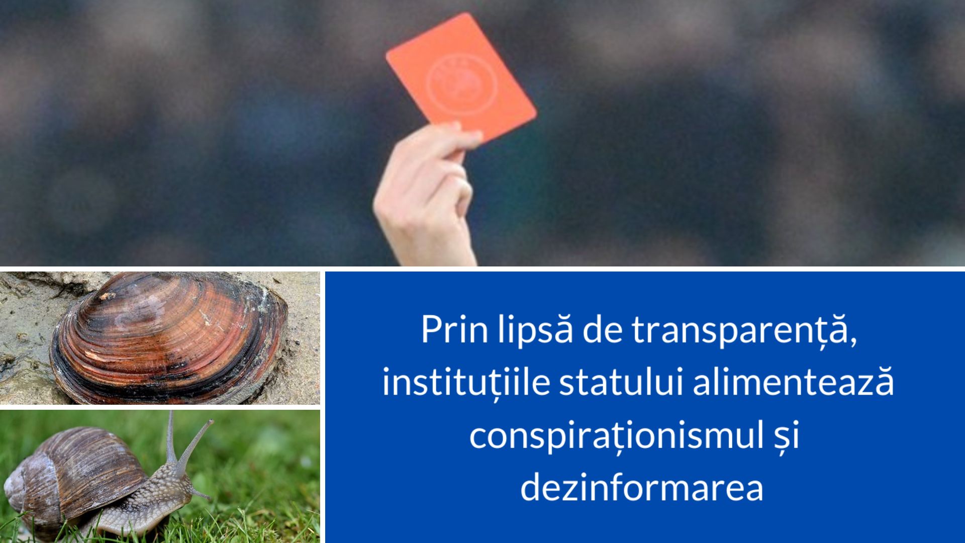 (44) Melci și scoici. Moluștele se închid în cochiliile netransparente, devin abuzive și corupte. Colacul de salvare. Cartonas ROȘU pentru Românu, Morar, Luncașu.